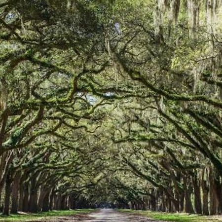 5Min To River Street, Dt - Spacious - Free Parking Savannah Bagian luar foto